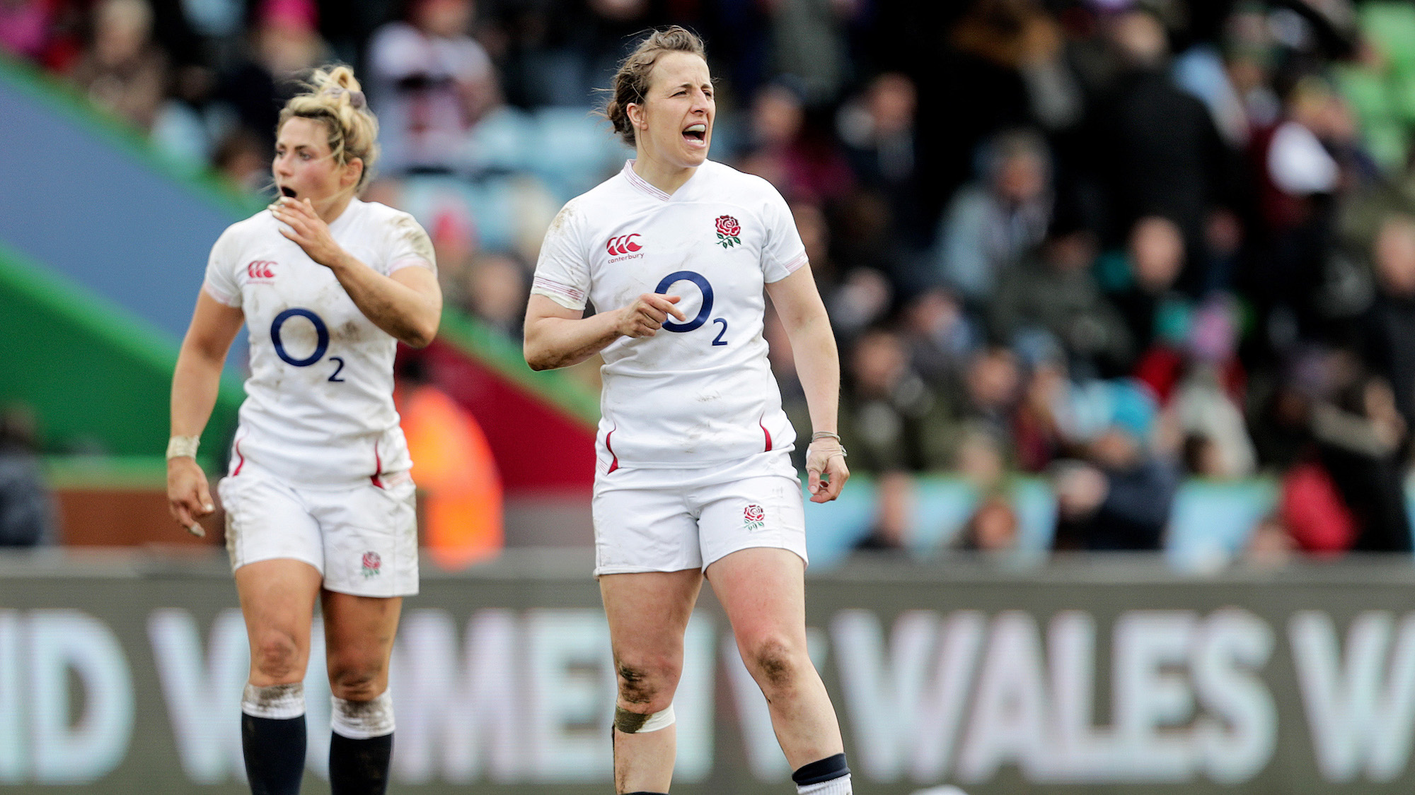 six nations rugby preview daley mclean eyes perfect send off with barbarians six nations rugby preview daley mclean eyes perfect send off with barbarians